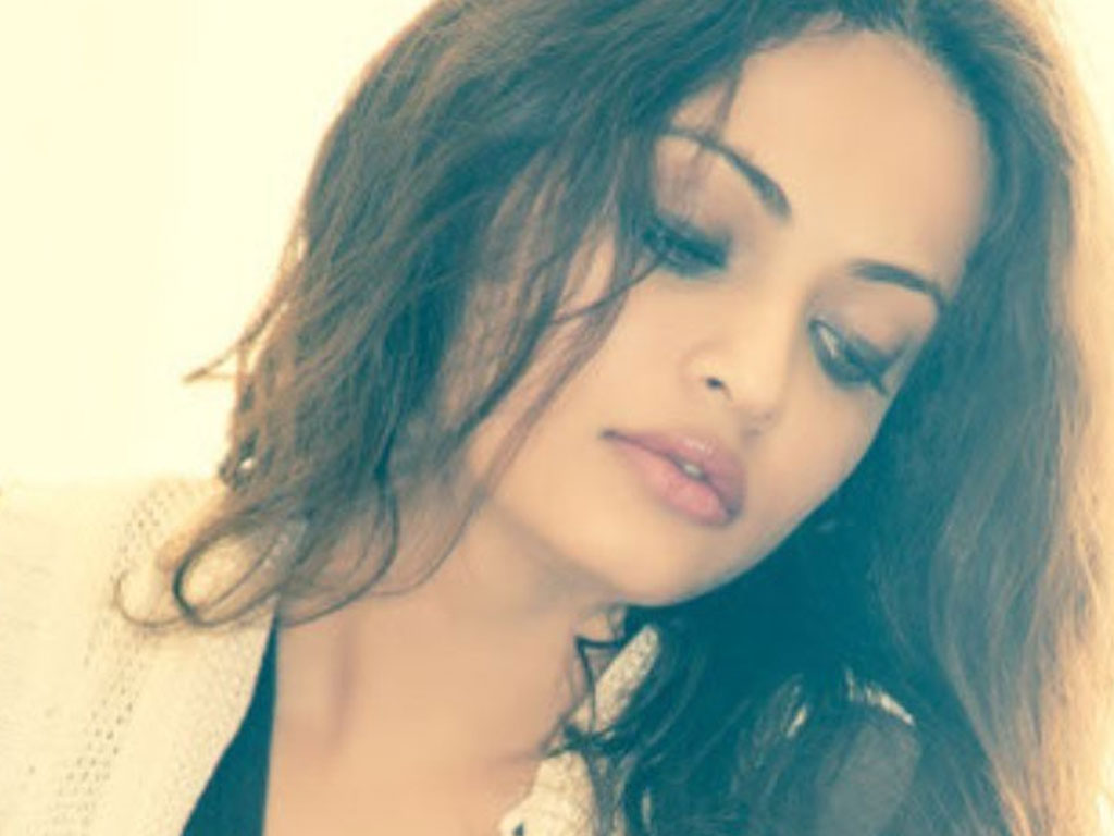 Sneha Ullal Hq Wallpapers Sneha Ullal Wallpapers 41494 Oneindia Wallpapers