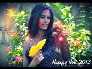 Holi 2013