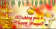 Pongal Wallpapers 2016