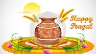 Pongal Wallpapers 2016