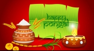 Pongal Wallpapers 2016